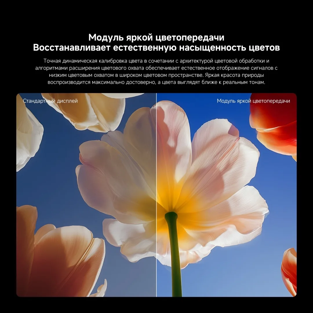 Телевизор Xiaomi TV S Mini LED 75 2026 L75MC-SRU 191 см Черный