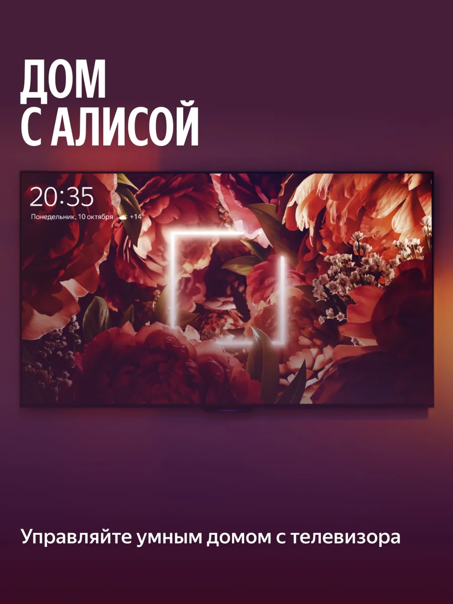 Телевизор Бейсик 65 Yandex YNDX-00077 Черный