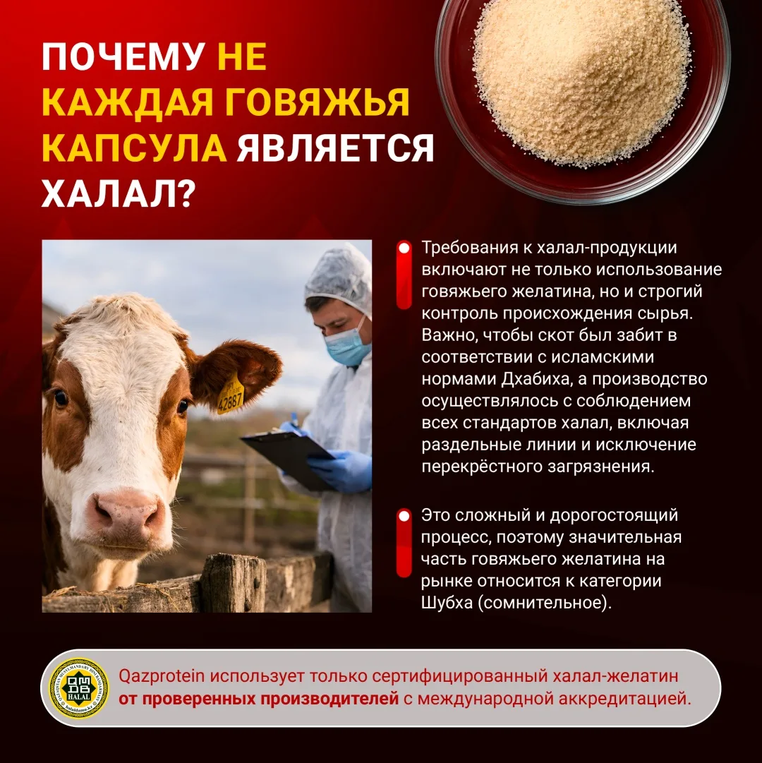 БАД Qazprotein Omega 3 100 капс (4577)