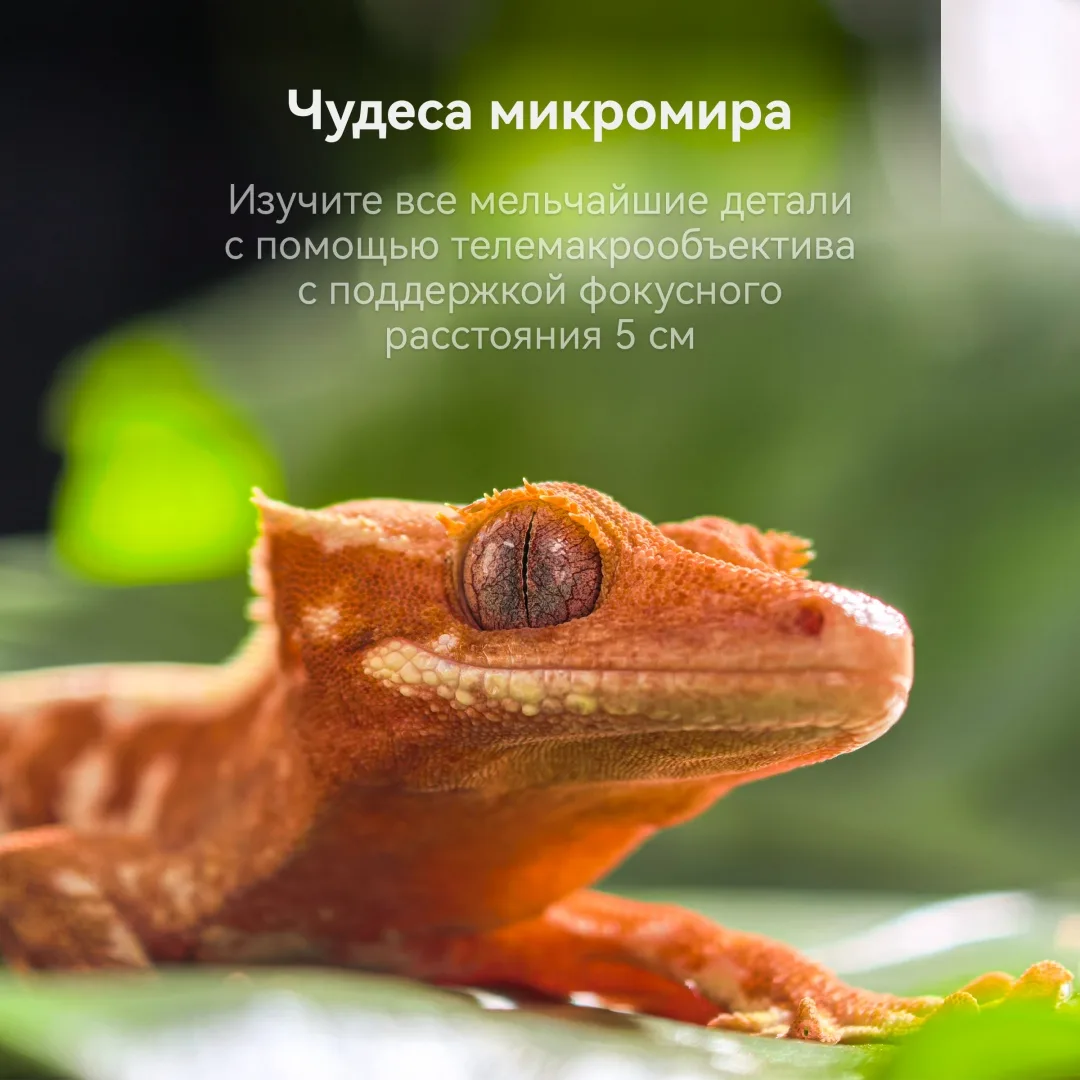 Смартфон Huawei Pura 80 Pro LMR-LX9 12/512GB Черный