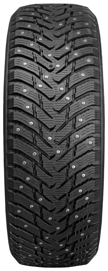 Шина Ikon Character Ice 8 205/70R15 100T ШИП