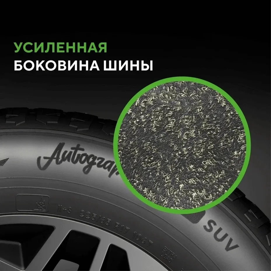 Шина Ikon Autograph Ice 9 SUV 265/45R21 108T ШИП