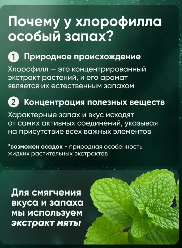 Витамин QEEP ХЛОРОФИЛЛ 500 МЛ (2852)