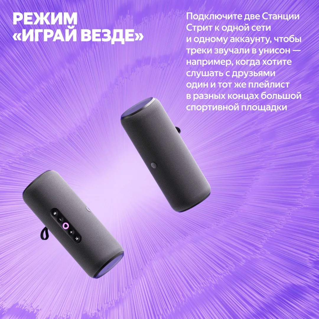 Умная колонка портативная Yandex Стрит YNDX-00030BLK Черный
