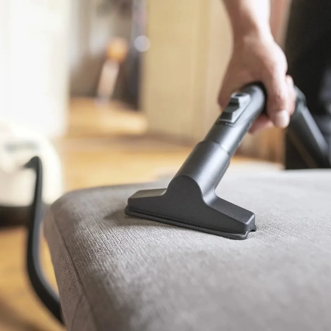 Пылесос Karcher DS 6 PLUS белый