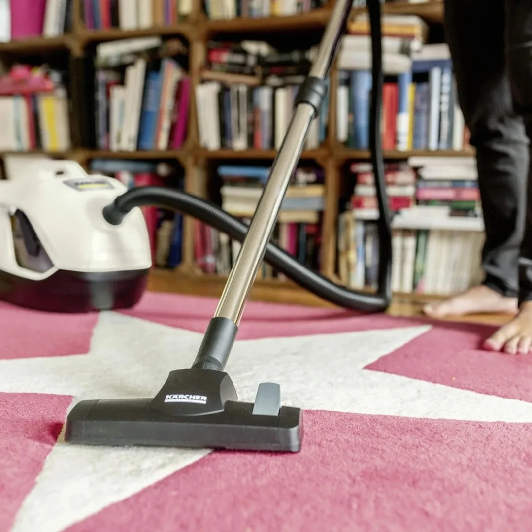 Пылесос Karcher DS 6 PLUS белый